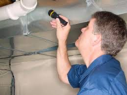 Mold Inspection & Remediation