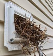 Bird Nest Removal