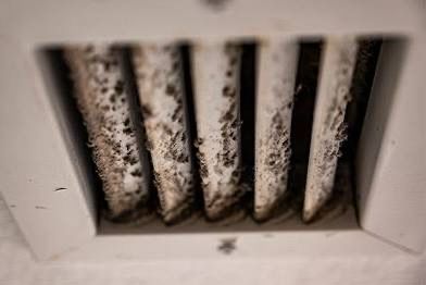 Air Duct Mold Testing + Mold Removal Sanitizing