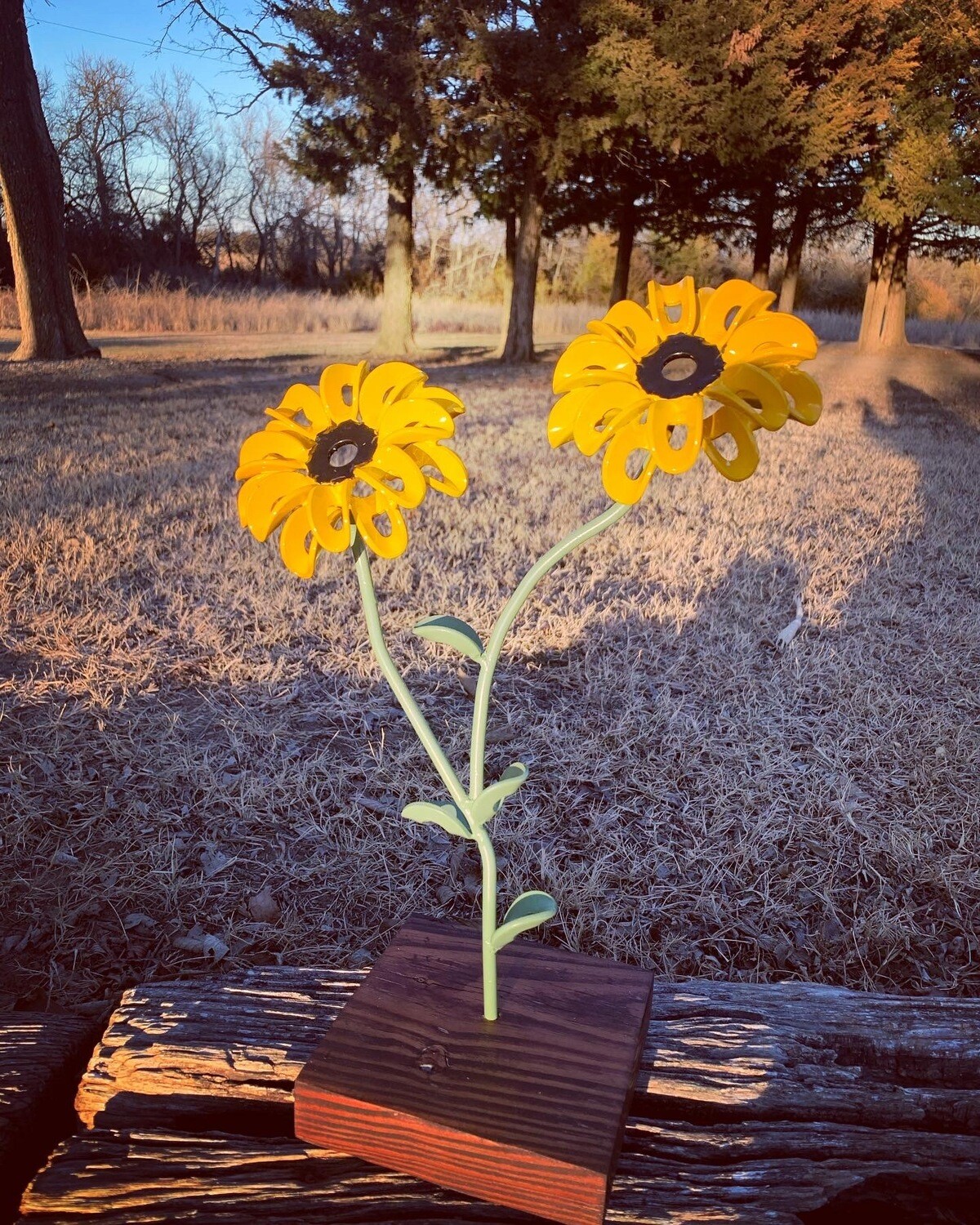 Welded Double Sunflower