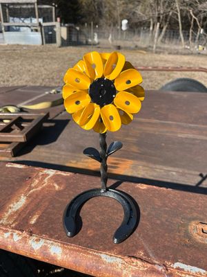 Horseshoe Sunflower