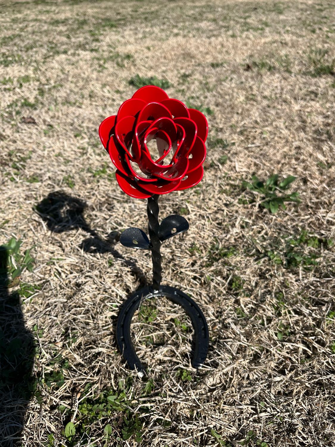 Horseshoe Rose