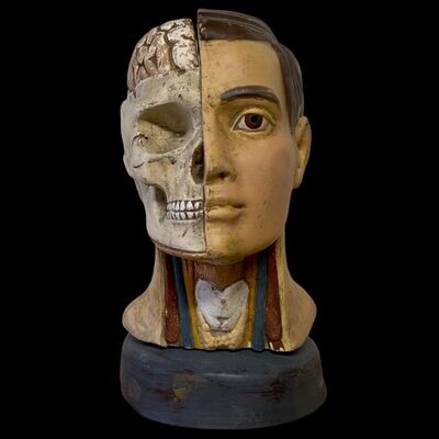 Anatomical head model in polychrome plaster, Italy, early 1900s