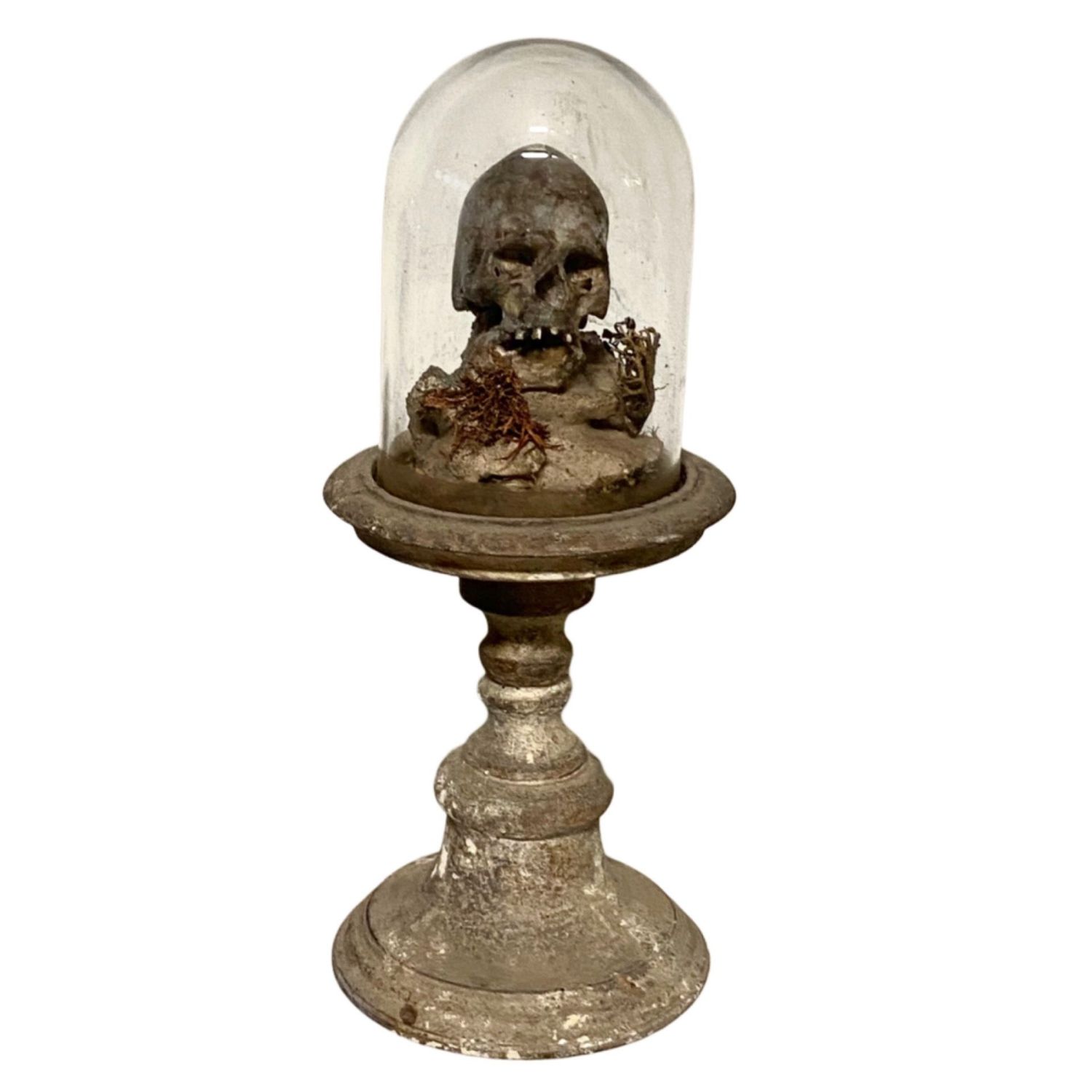 A-Composition of a curiosities, skull and accessories, Italy, probably 19th century
