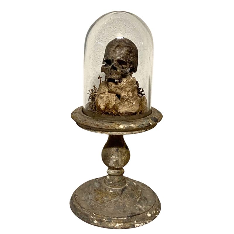 B-Composition of a curiosities, skull and accessories, Italy, probably 19th century