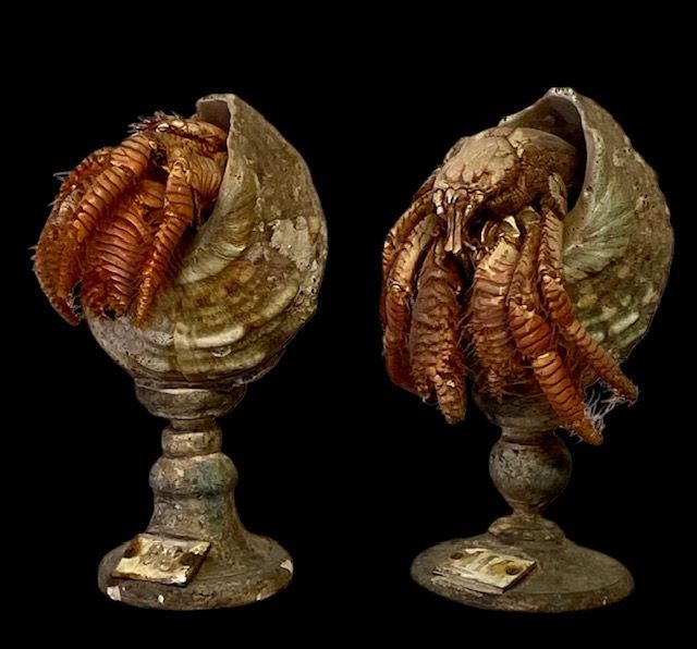 Pair of hermit crabs on turned wooden support, 19th century