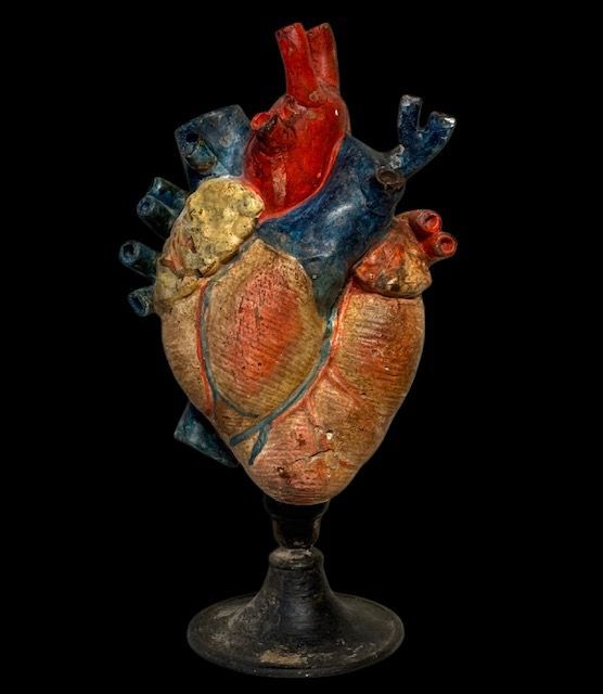 A-Anatomical heart sculpture in polychrome plaster, Italy late 19th century
