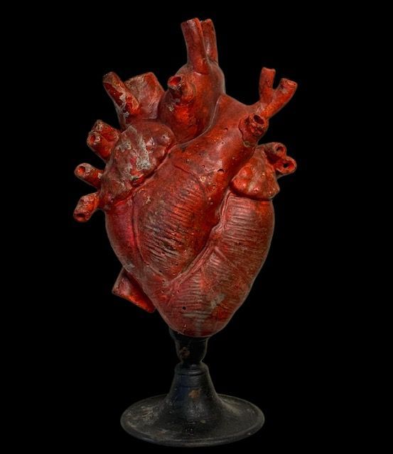 B-Anatomical heart sculpture in polychrome plaster, Italy late 19th century