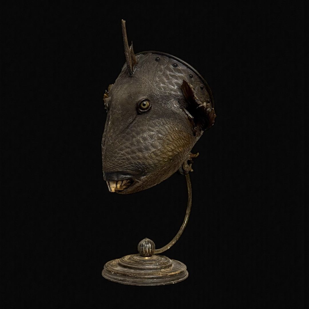 Dispositivo ottico naturalistico da Wunderkammer  Italia, fine XIX secolo