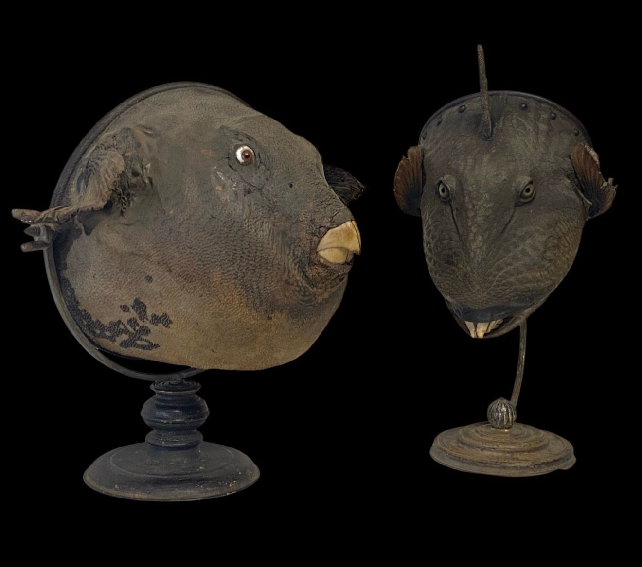 THE DOUBLE ILLUSION An exceptional pair of naturalistic optical devices from the WunderkammerR THE DOUBLE ILLUSION An exceptional pair of naturalistic optical devices from the WunderkammerR