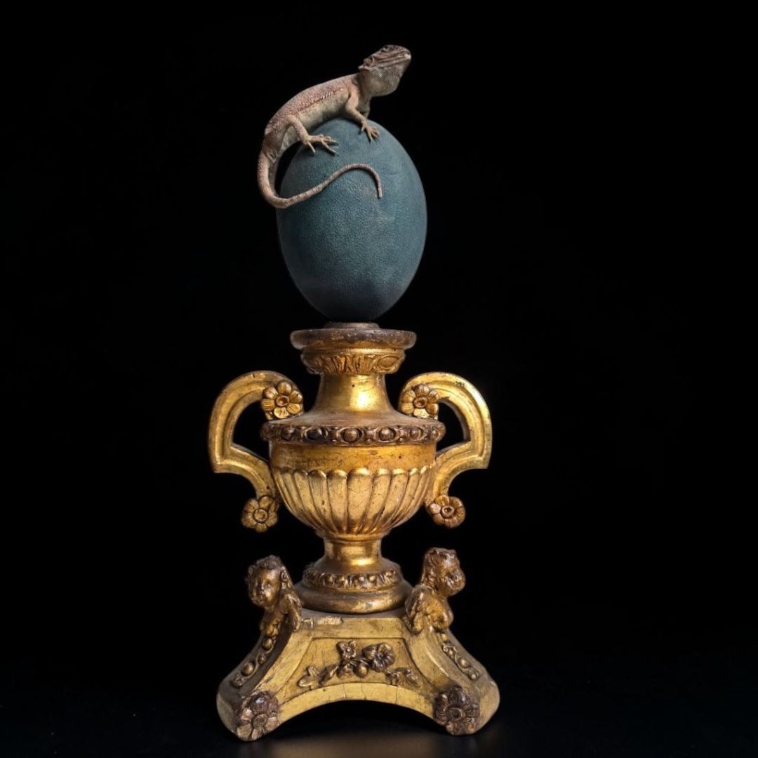 19th-Century *Wunderkammer* Natural History Composition: Bearded Dragon on Emu Egg 19th-Century *Wunderkammer* Natural History Composition: Bearded Dragon on Emu Egg