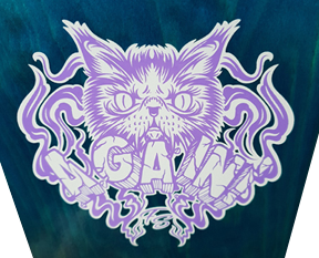 Freestyle Skateboard Again 7.25