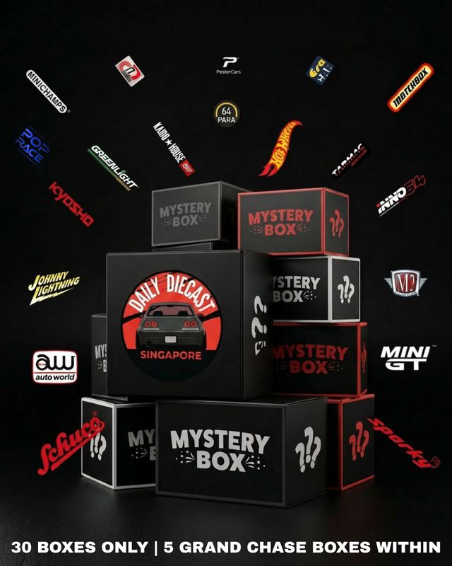 DAILY DIECAST MYSTERY BOX | Chance of Chase