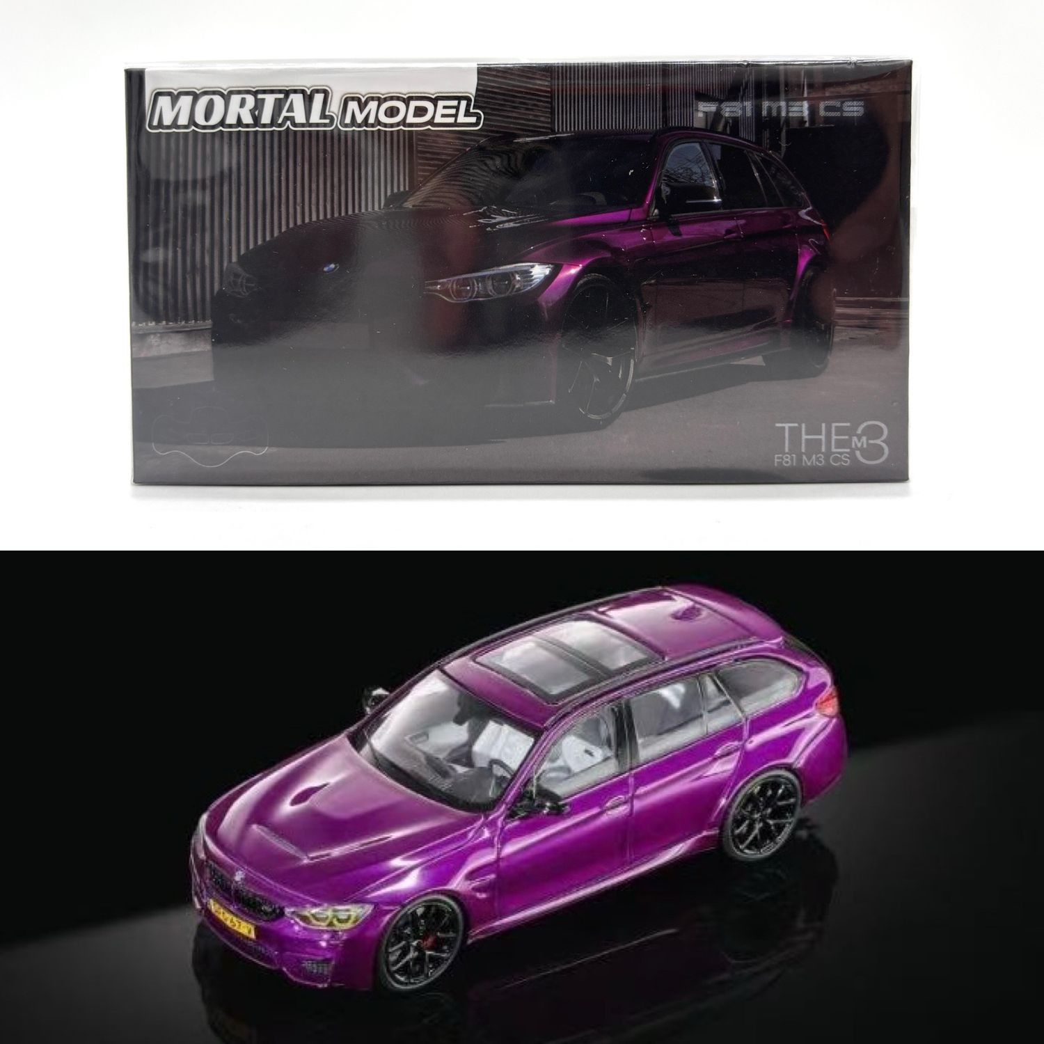 Mortal Model The F81 M3 CS Touring Purple | 2026 GT Show