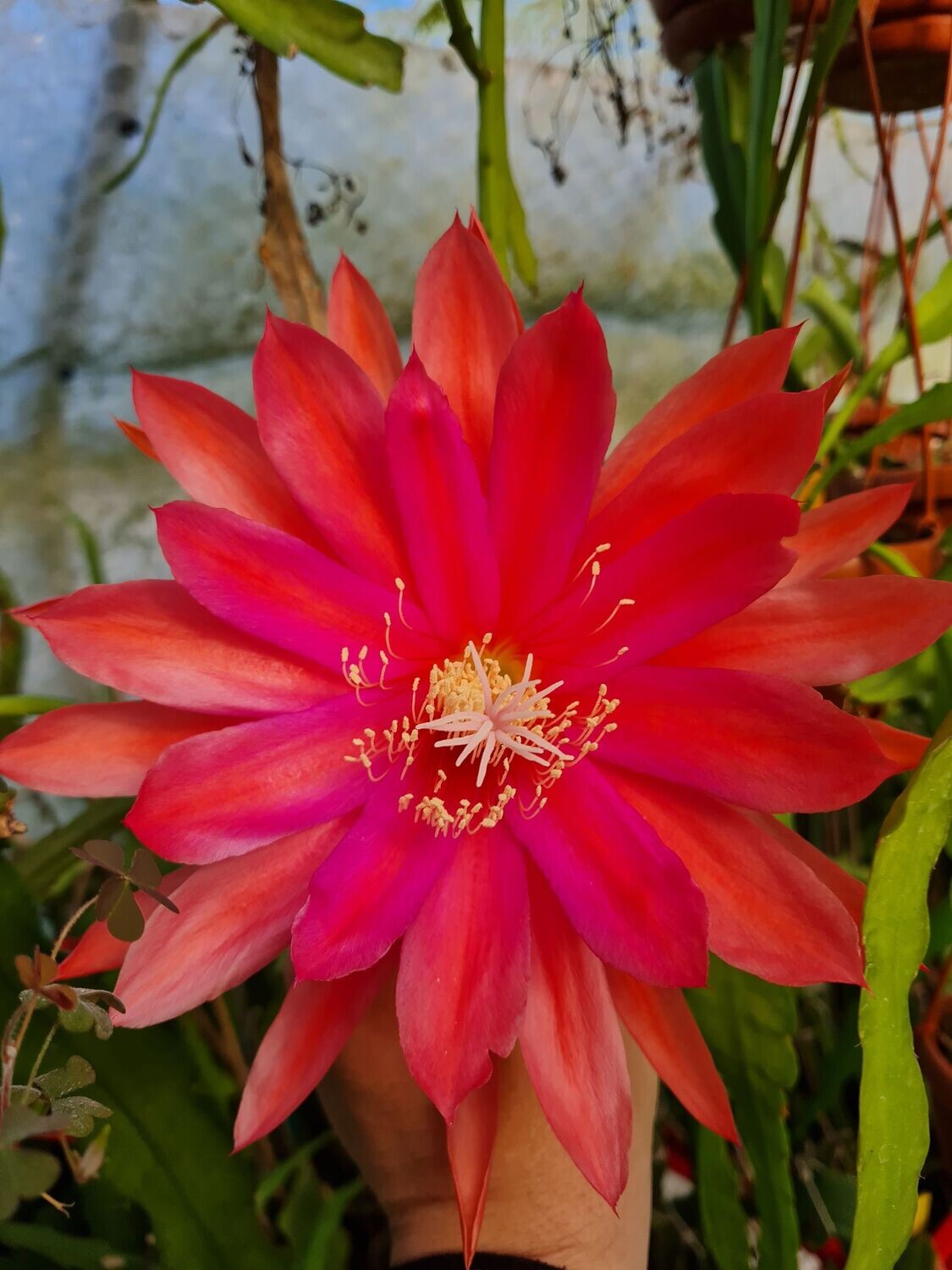 Day in Spring