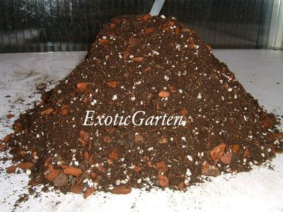 Erde / Substrat für Epiphytische Kakteen