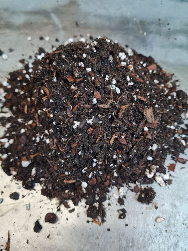 Erde / Substrat für Epiphytische Kakteen / Torffrei