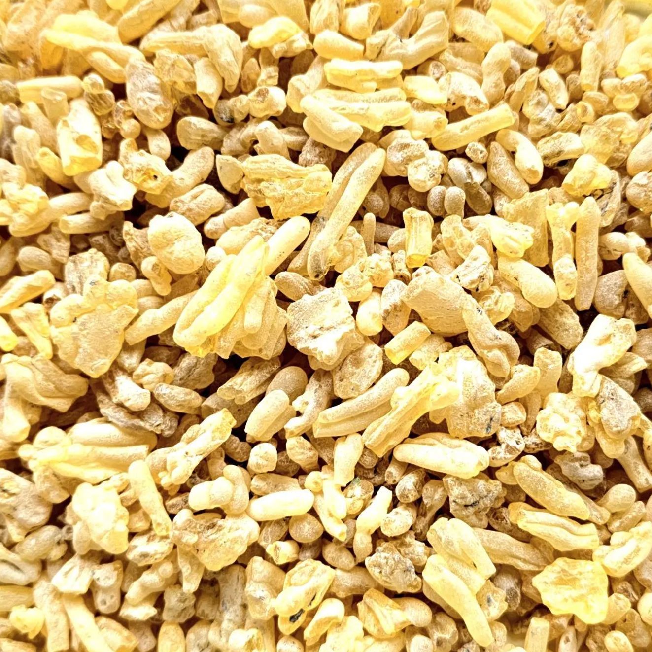 Résine Sandaraque en Larmes