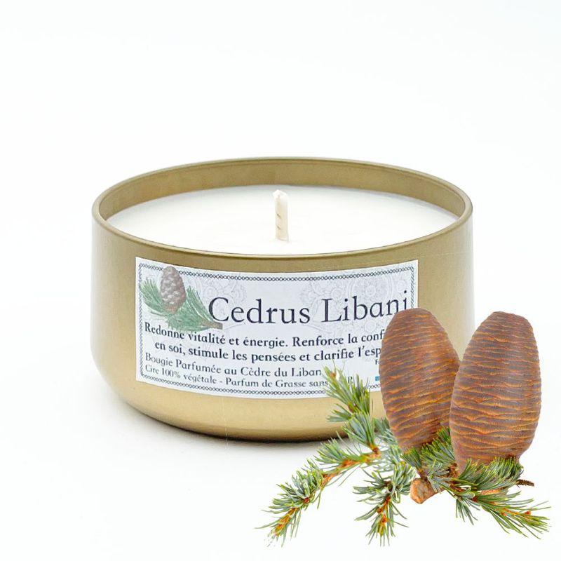Bougie Cedrus Libani