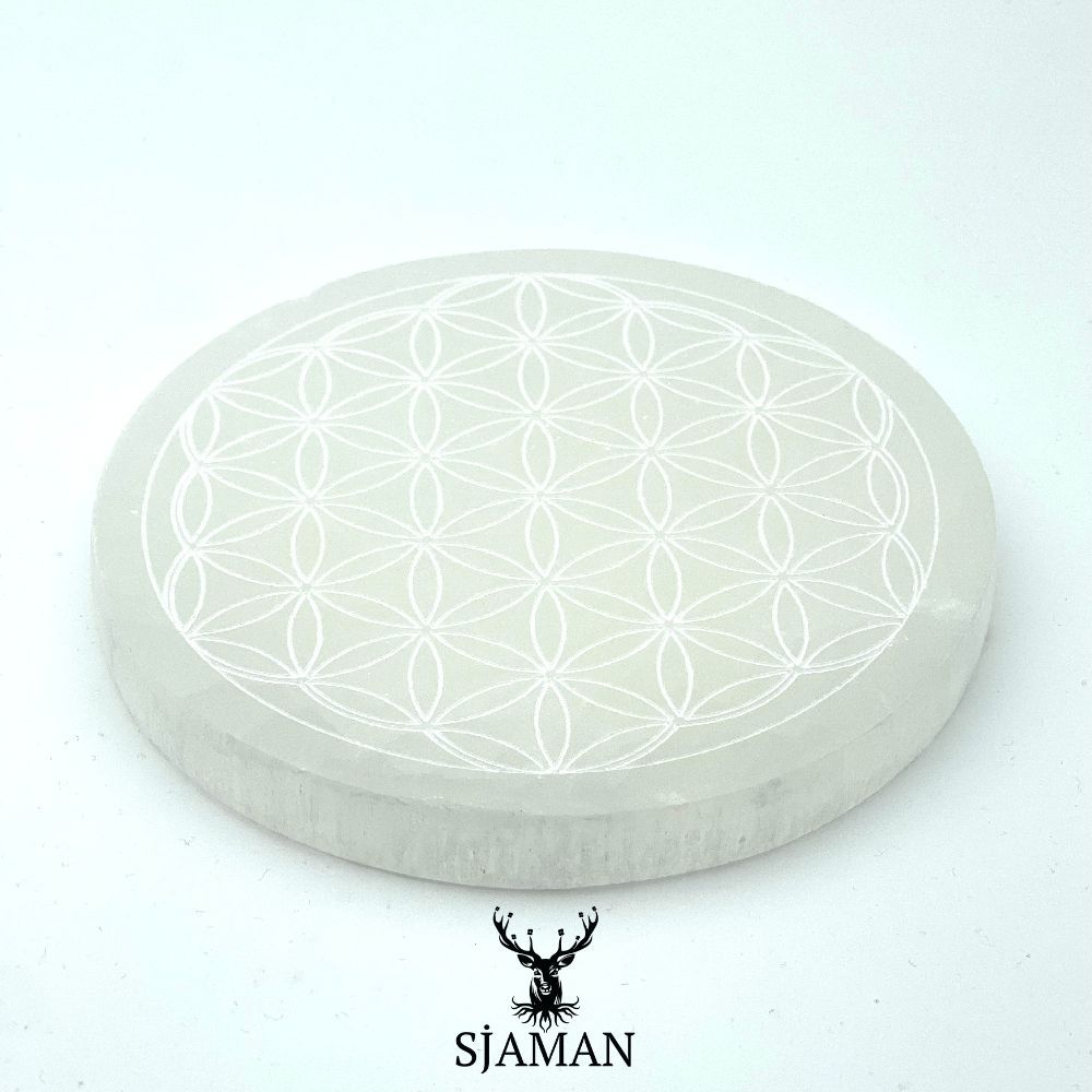 Fleur de vie en Sélénite 12 cm Fleur de vie en Sélénite 12 cm