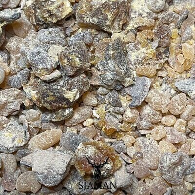 Résine Larmes de Somalie Résine Larmes de Somalie