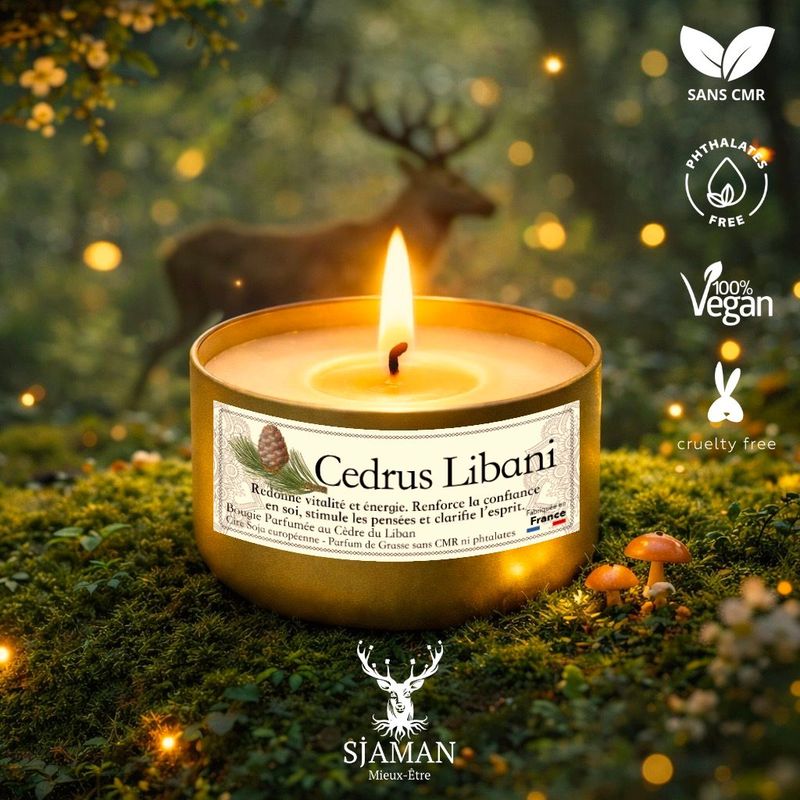 Bougie Cedrus Libani