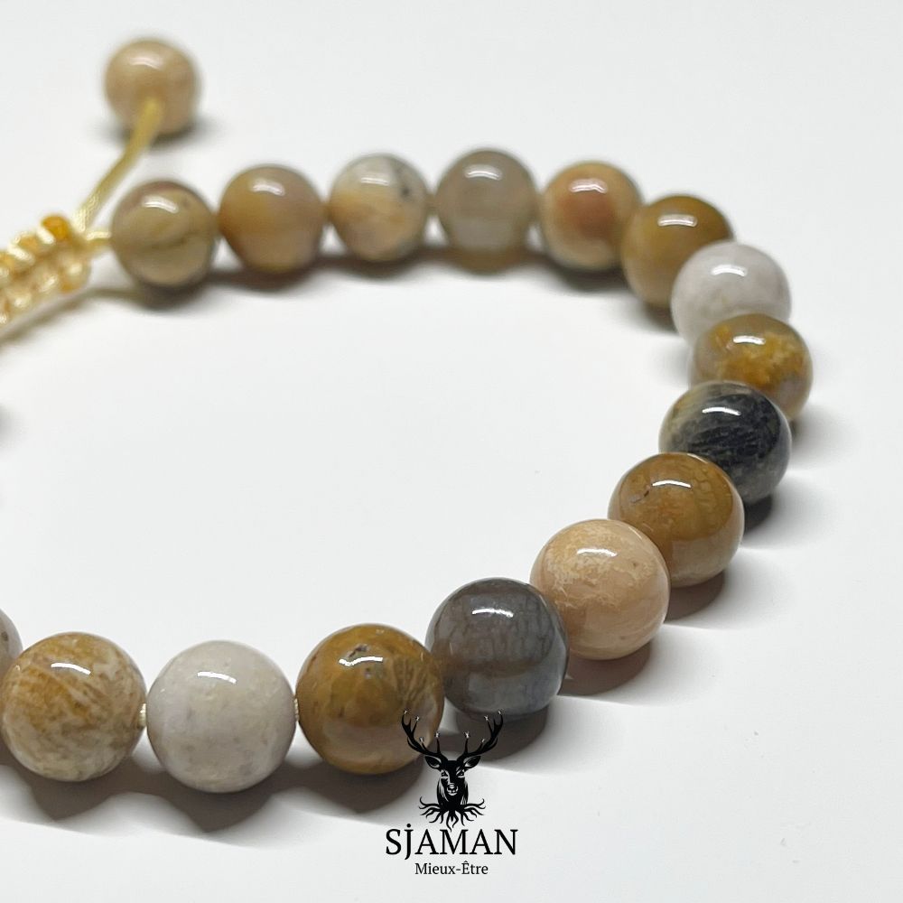 Bracelet Corail Fossile 8 mm