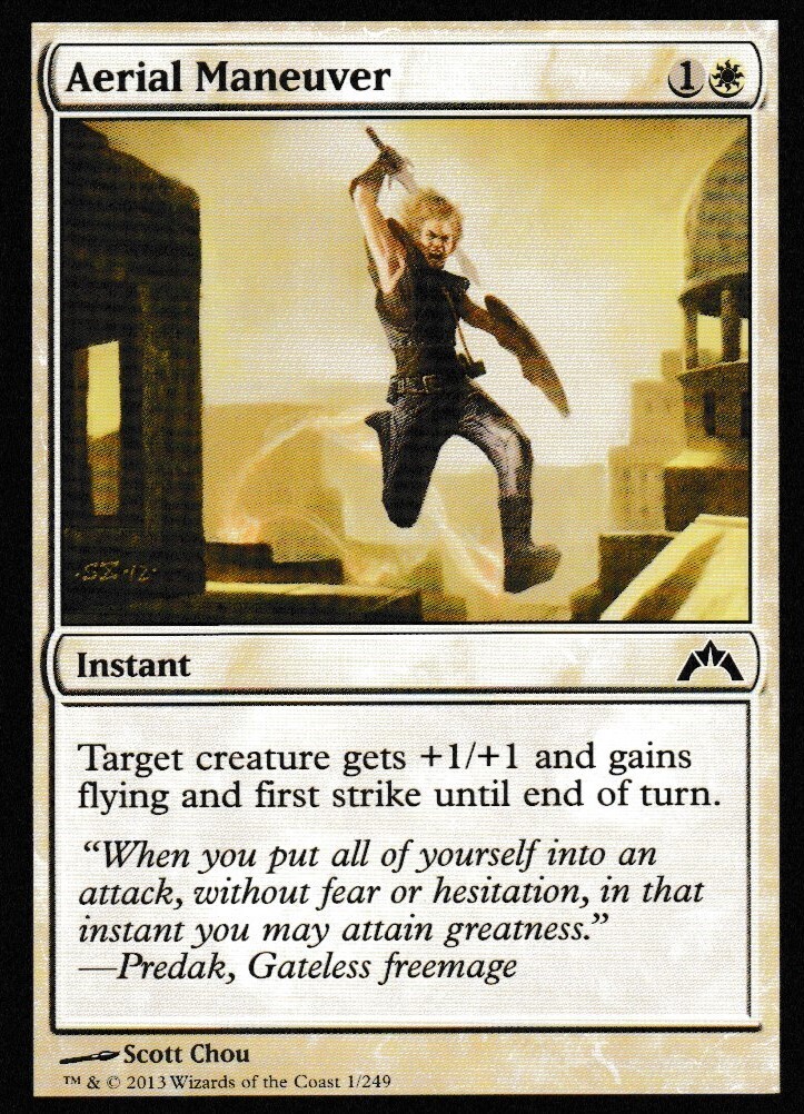 Aerial Maneuver