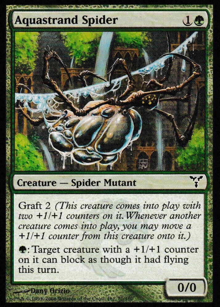 Aquastrand Spider