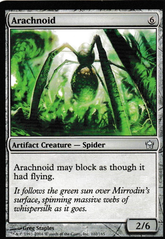 Arachnoid