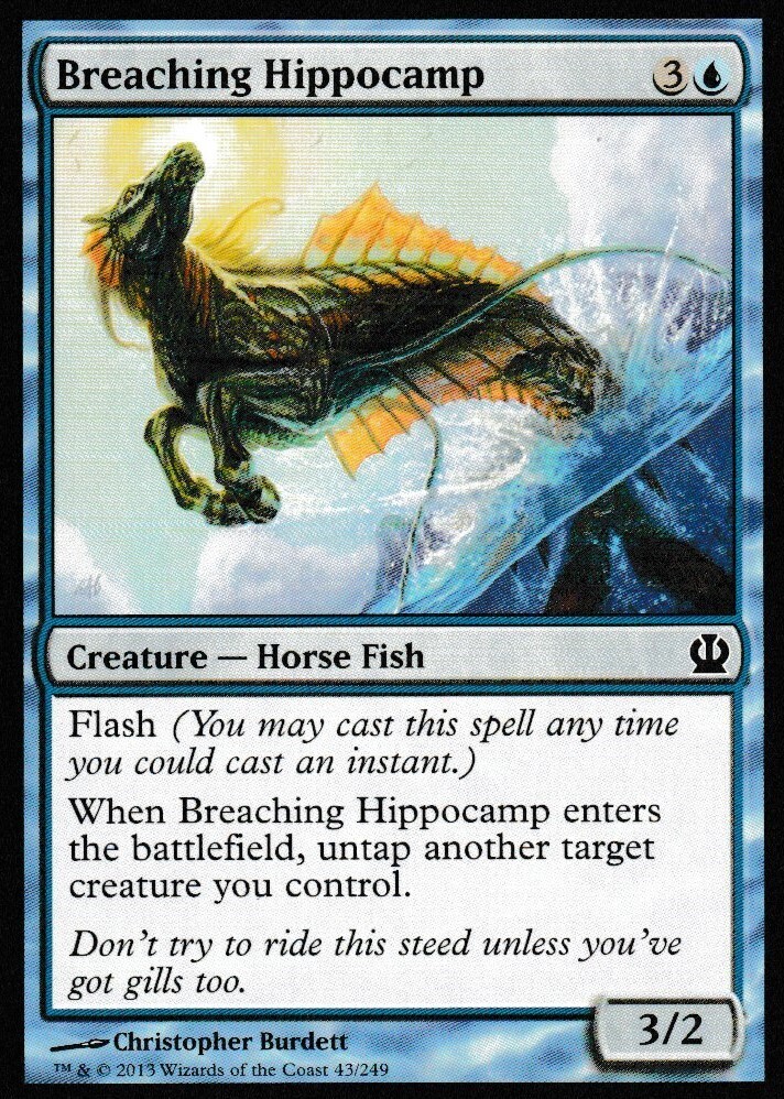 Breaching Hippocamp