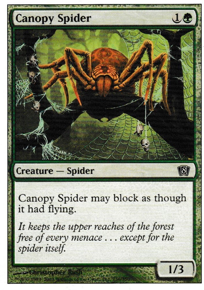 Canopy Spider