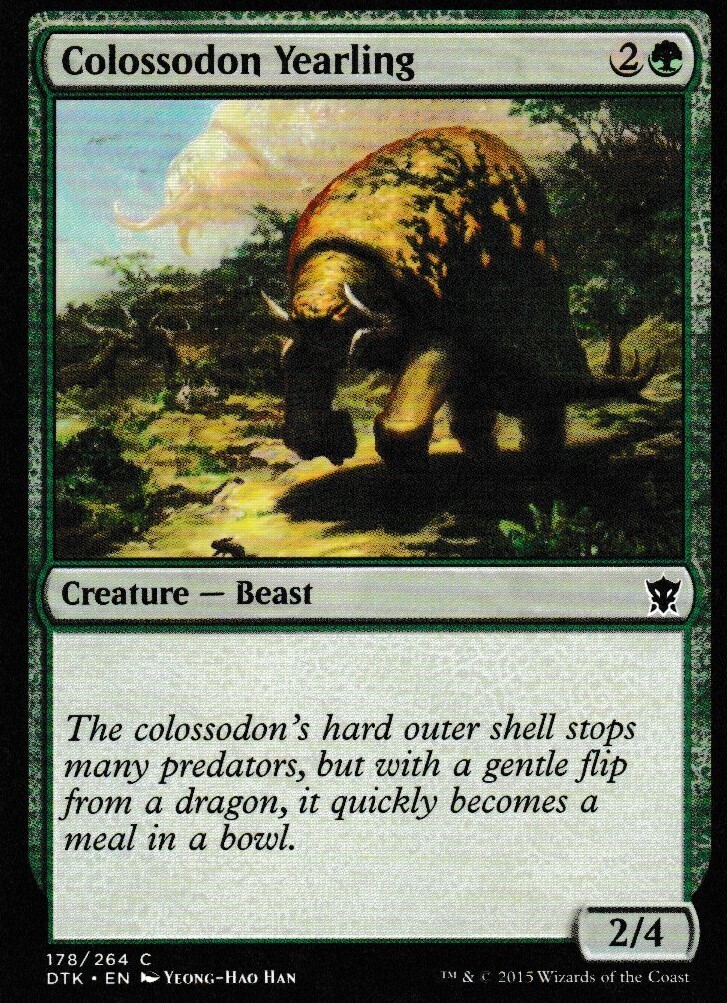 Colossodon Yearling