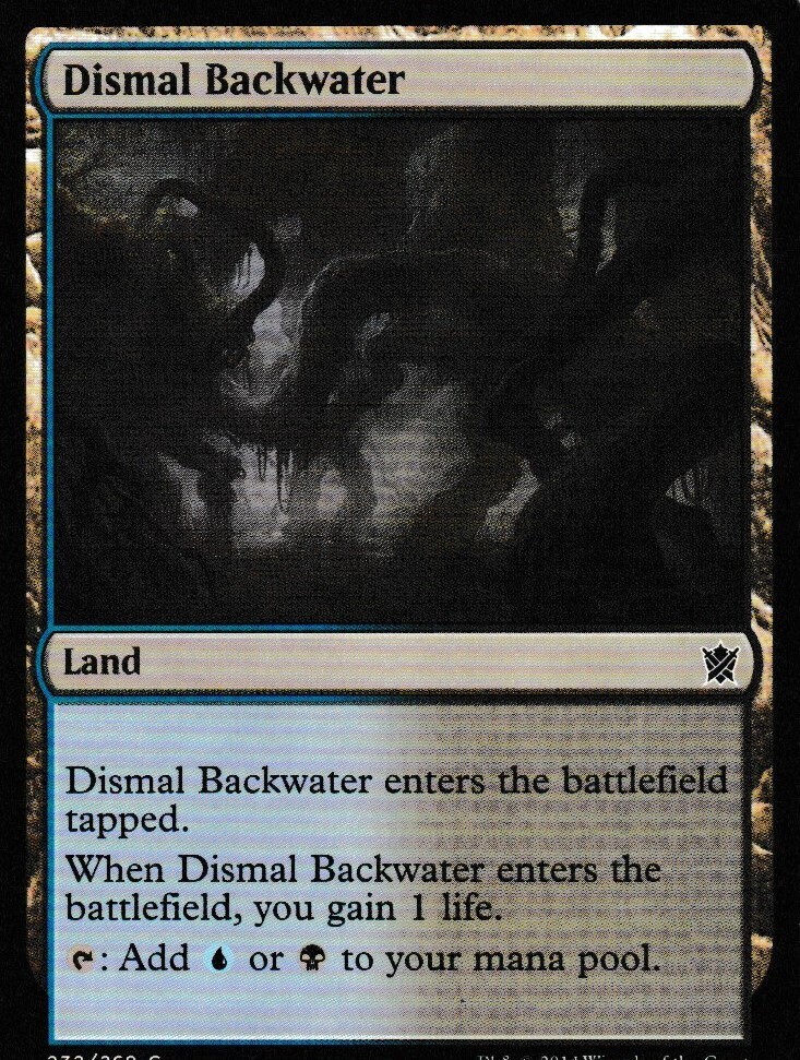 Dismal Backwater