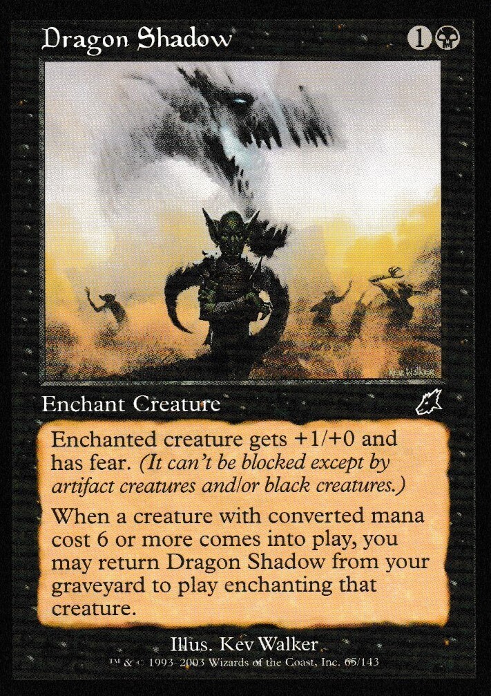 Dragon Shadow