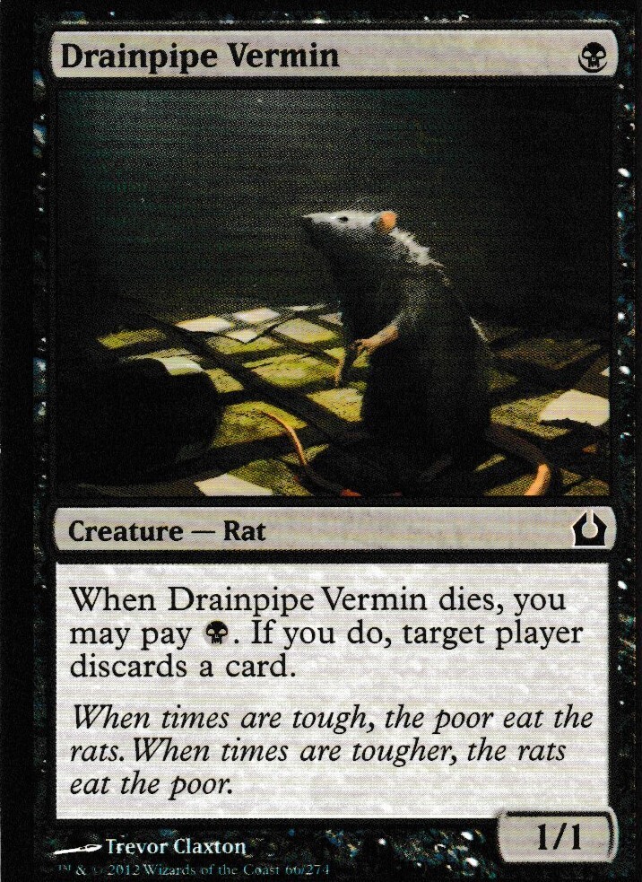 Drainpipe Vermin