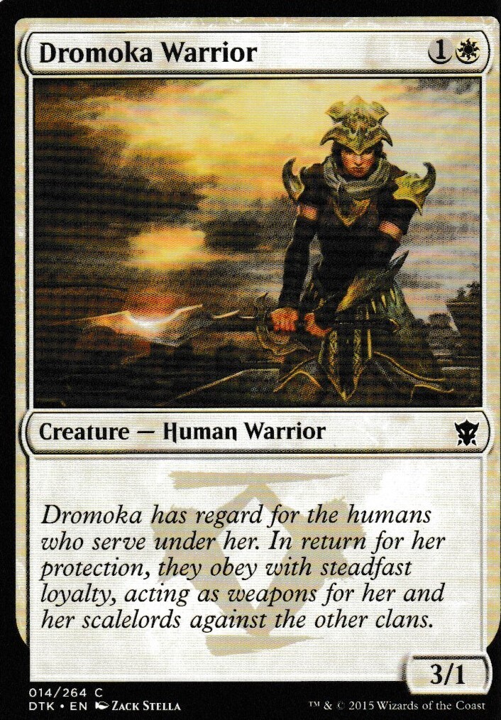 Drogskol Warrior