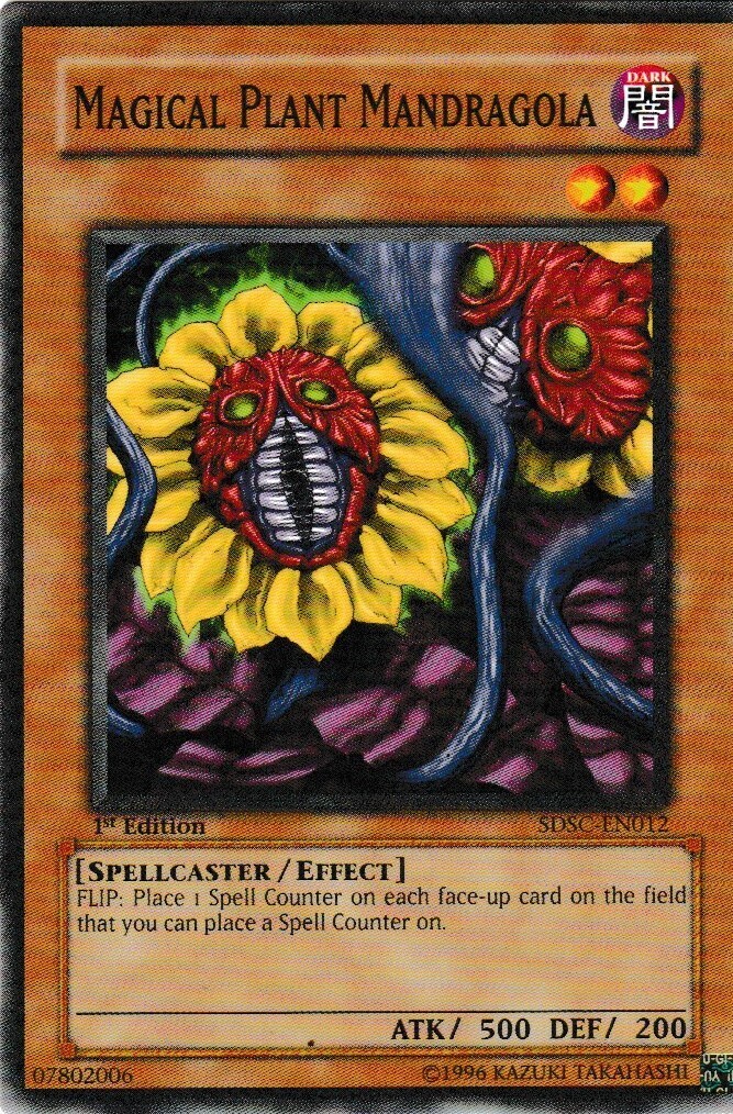 Magical Plant Mandragola