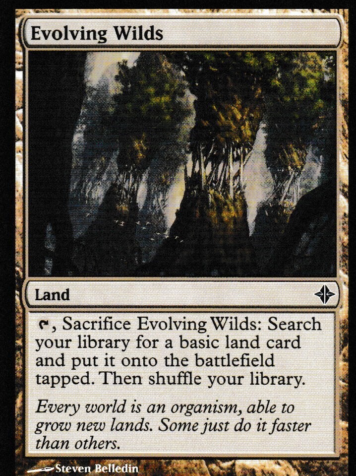 Evolving Wilds