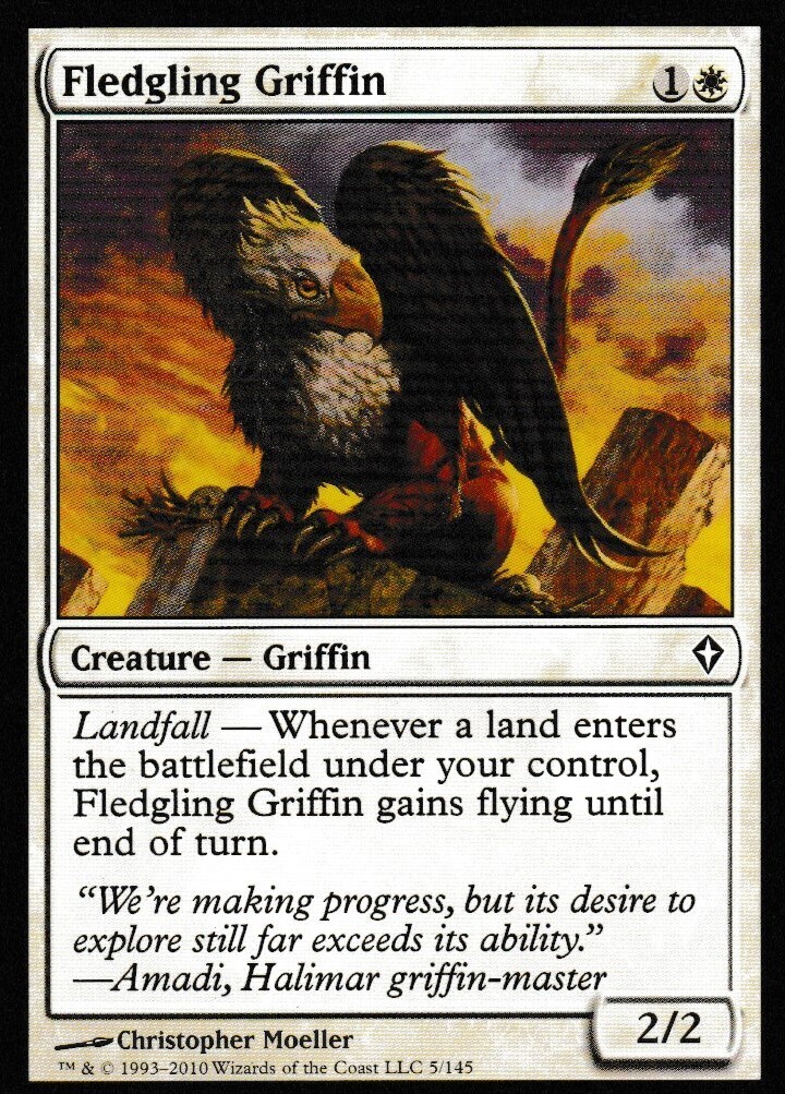 Fledgling Griffin