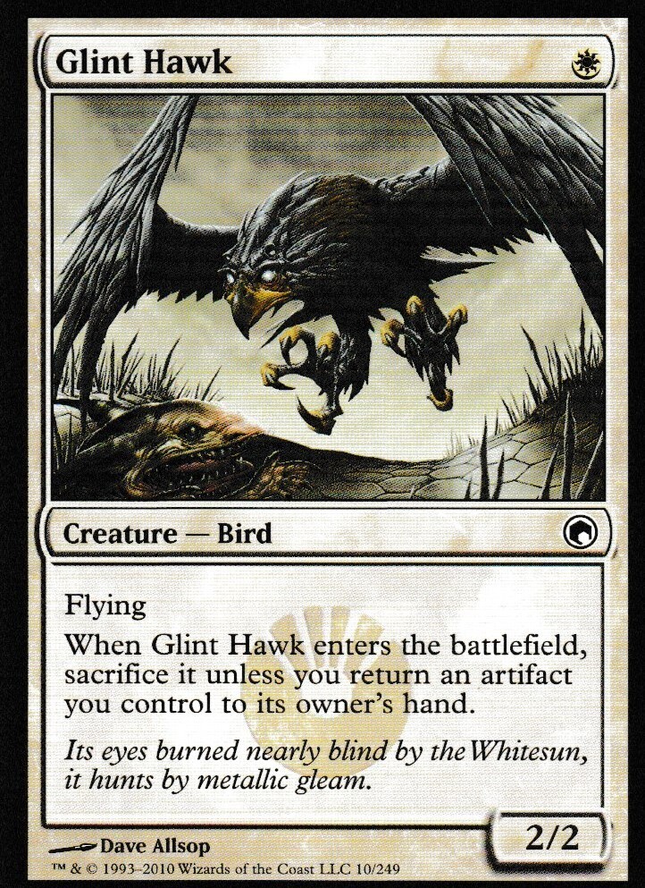 Glint Hawk