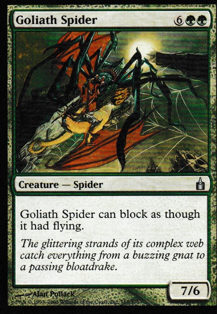 Goliath Spider