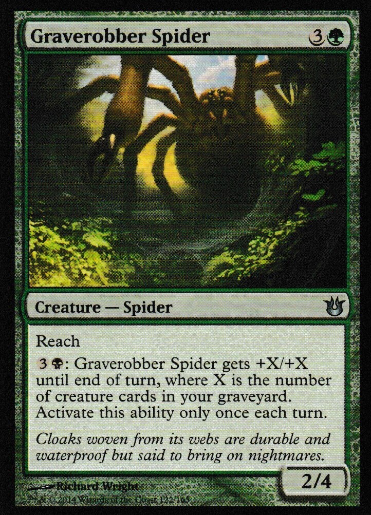 Graverobber Spider