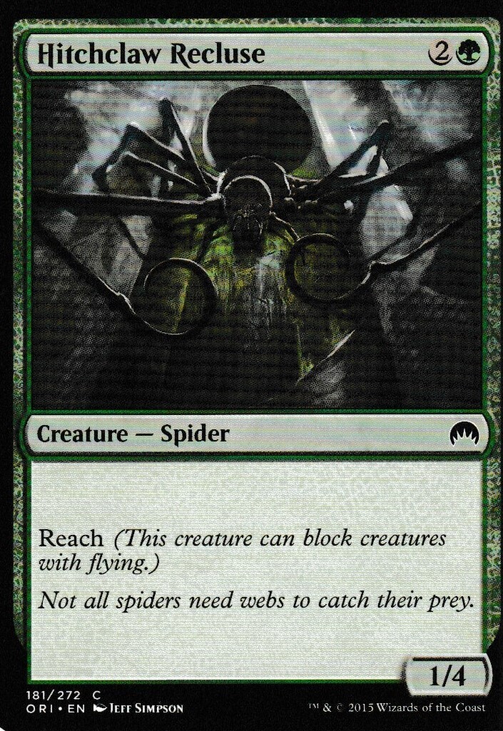Hitchclaw Recluse