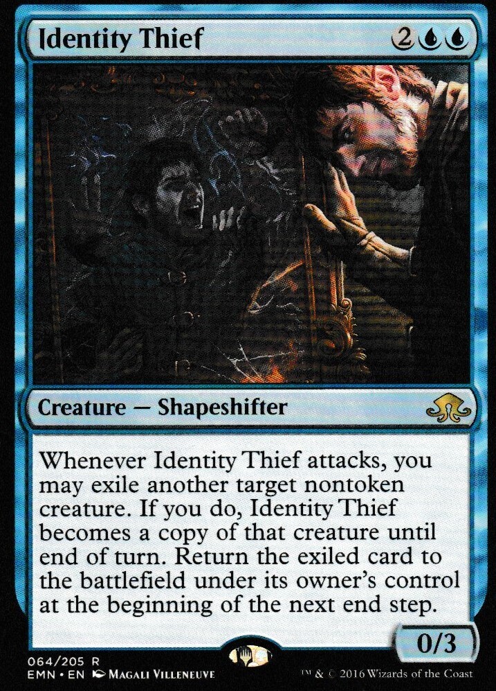 Identity Theif