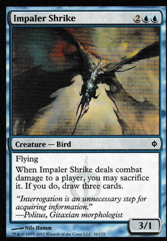 Impaler Shrike