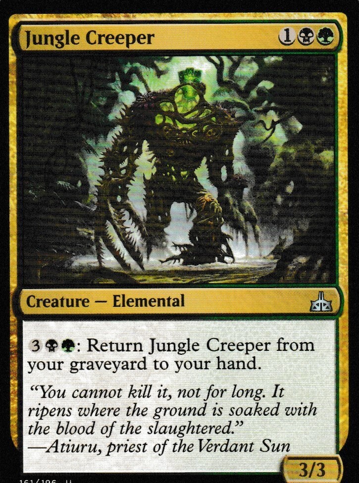Jungle Creeper