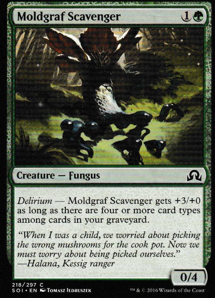 Moldgraf Scavenger