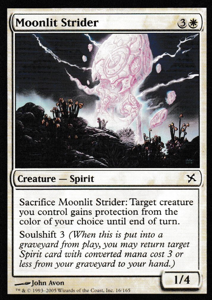 Moonlit Strider