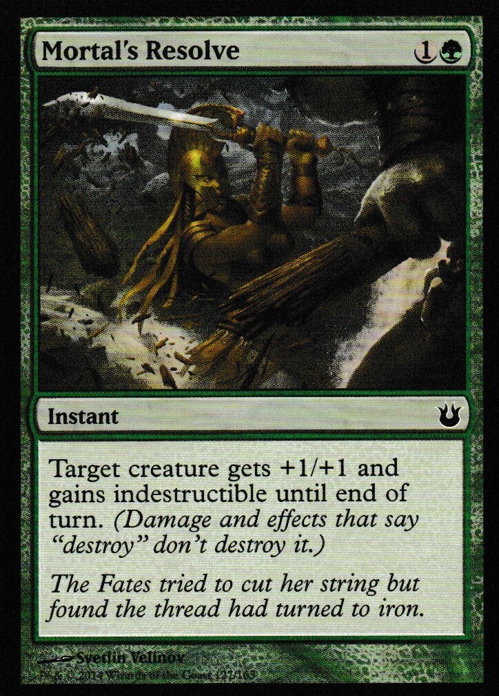 Mortal&#39;s Resolve